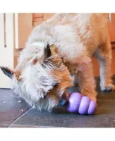 Kong Senior - Roxo - Foto 6