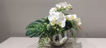 Arranjo de Orquídeas brancas com verdes