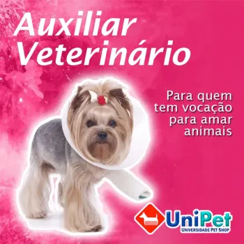 Curso de Auxiliar Veterinário - EAD - Promoção - Foto 2