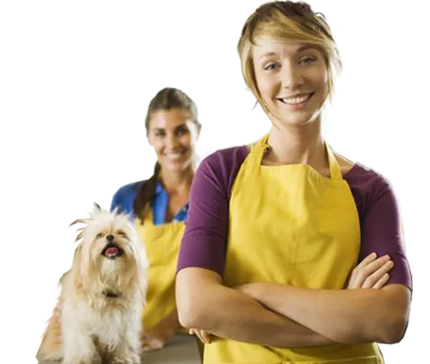 Promoção: Compre 4 cursos Pet e pague 1    Imagem