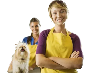 Promoção: Compre 4 cursos Pet e pague 1   