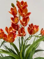 Arranjo Orquídea Laranja Mescla  - Foto 3