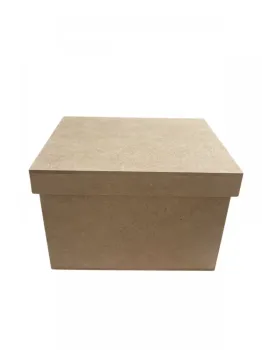 Caixa tampa sapato 15x12x10cm
