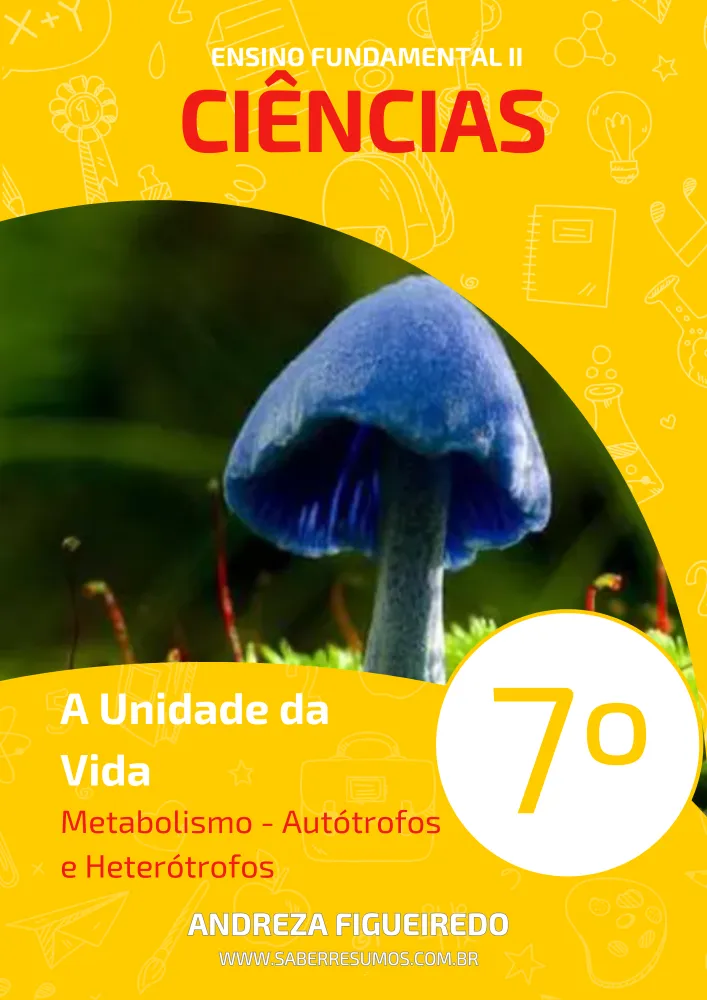 079  - Ciências - A Unidade da Vida - Metabolismo - Autótrofos e Heterótrofos - 7º ano - PDF com 13 páginas Imagem