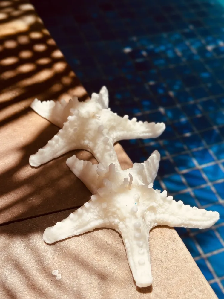 Vela estrela do mar