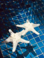 Vela estrela do mar - Foto 2
