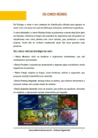 086 - Ciências - A Vida e a Diversidade - Classificação dos Seres Vivos em Cinco Reinos - 7º ano - PDF com 19 páginas - Foto 2