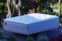 COLCHÃO STALLION TALALAY PLUSH-TALALAY-ULTRAPLUSH