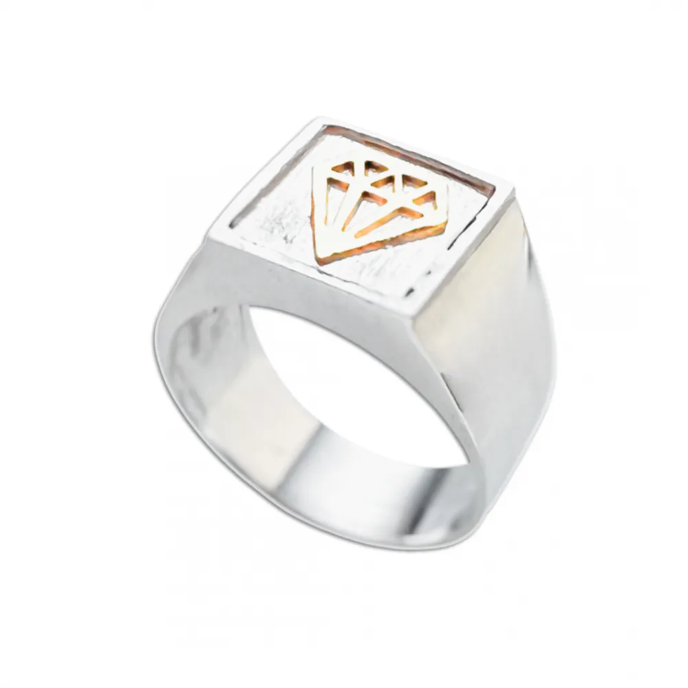 Anel masculino de prata e ouro 18k diamante - AN850 Imagem