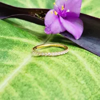 Argola Slim CONCH Clicker em  TITÂNIO PVD GOLD 12mm com Pedras CRAVEJADAS  - Foto 2