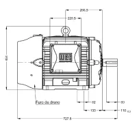 Motor Elétrico Weg 40cv Trifásico 220/380/440v 4p 1800rpm Ip55 W22 - 11280268 - Foto 9