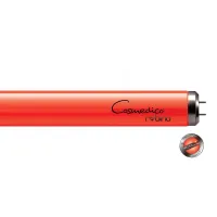 Lâmpada BRONZEAMENTO Cosmedico Rubino 100W UV