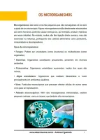 081 - Ciências - A Vida Invisível - Microrganismos - 7º ano - PDF com 28 páginas - Foto 2