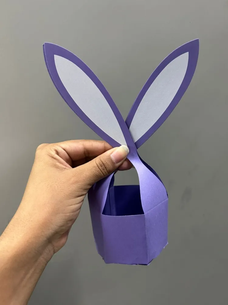  Cestinha Coelho Sextavada - Amsterdam c/ Orelha Sortida