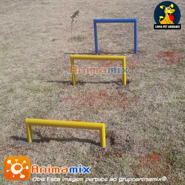 Barra de Salto em 3 niveis para cães Imagem