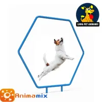 Obstáculo Salto Sextavado para cachorro  Mod1