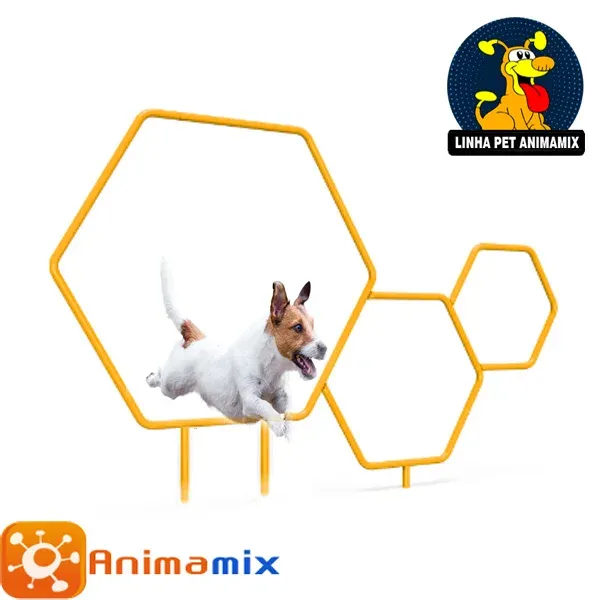 Obstáculo Salto Sextavado para cachorro  Mod2
