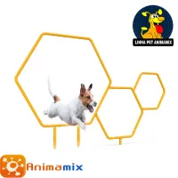 Obstáculo Salto Sextavado para cachorro  Mod2