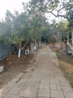 Vende-se bela chácara em Conselheiro Lafaiete - Foto 16