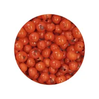 Semente de açai Laranja 30g cerca de 50 contas