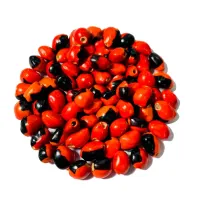 Olho de Cabra com Furo Polido -  20 unidades