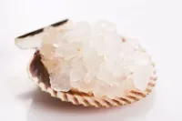 Cópia de Doação de KEFIR DE ÁGUA - Foto 2