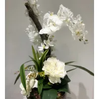 Arranjo Orquídea Branca   - Foto 2