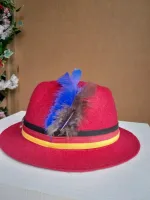 CHAPÉU TRADICIONAL - Foto 3