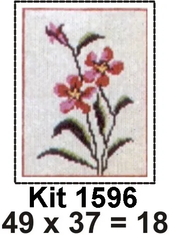 PRÉ-VENDA Kit 1596