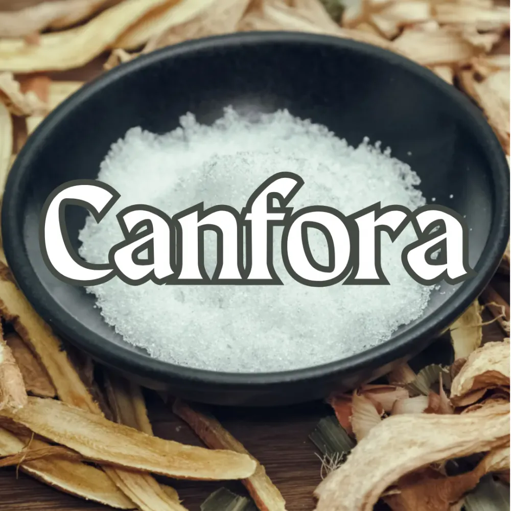Cânfora