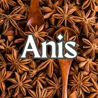 Anis