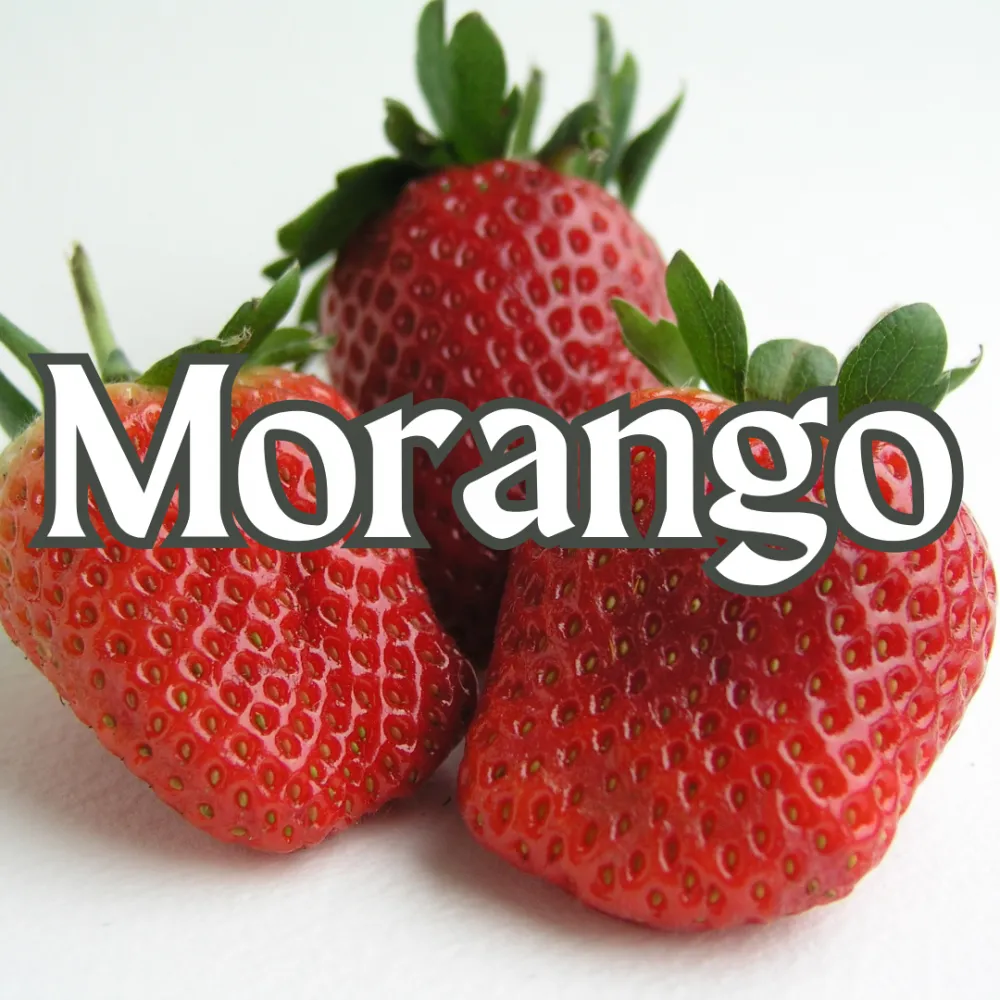 Morango