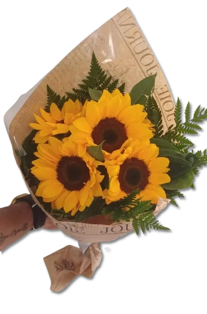 Quarteto Dourado Imagem