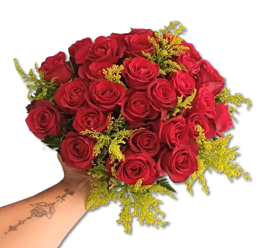  Encanto Red 30 Rosas Nacionais Imagem