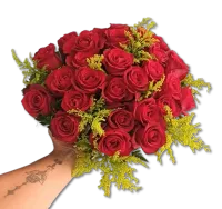  Encanto Red 30 Rosas Nacionais