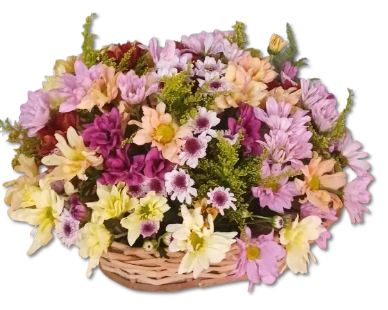 Cesta de Margaridas e Alegria Imagem
