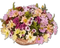 Cesta de Margaridas e Alegria