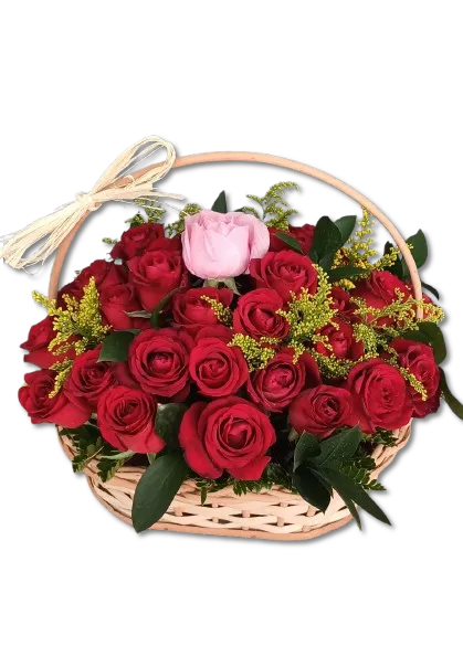 Rosa dos Sonhos 51 Rosas Nacionais Imagem