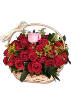 Rosa dos Sonhos 51 Rosas Nacionais