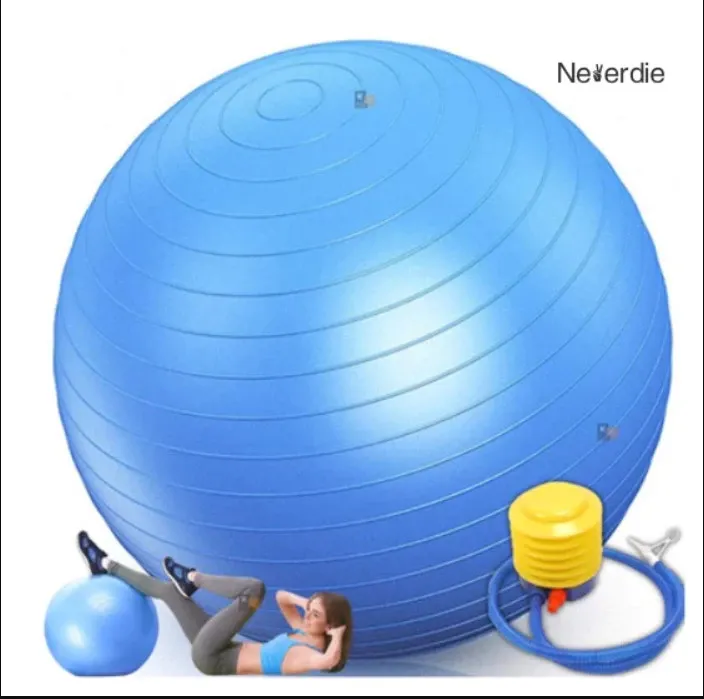 Bola de Ginástica Suíça Yoga Pilates Bola de Pilates Inflável Anti Estouro com bomba para encher Imagem