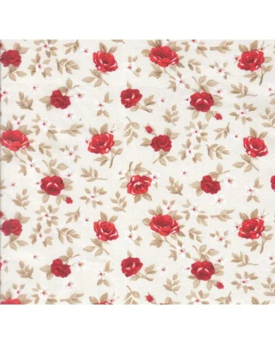  TECIDO CALDEIRA LÚCIA CRU COM VERMELHO COR 11