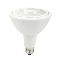 Avant Lampada Led Par30 9w Bivolt