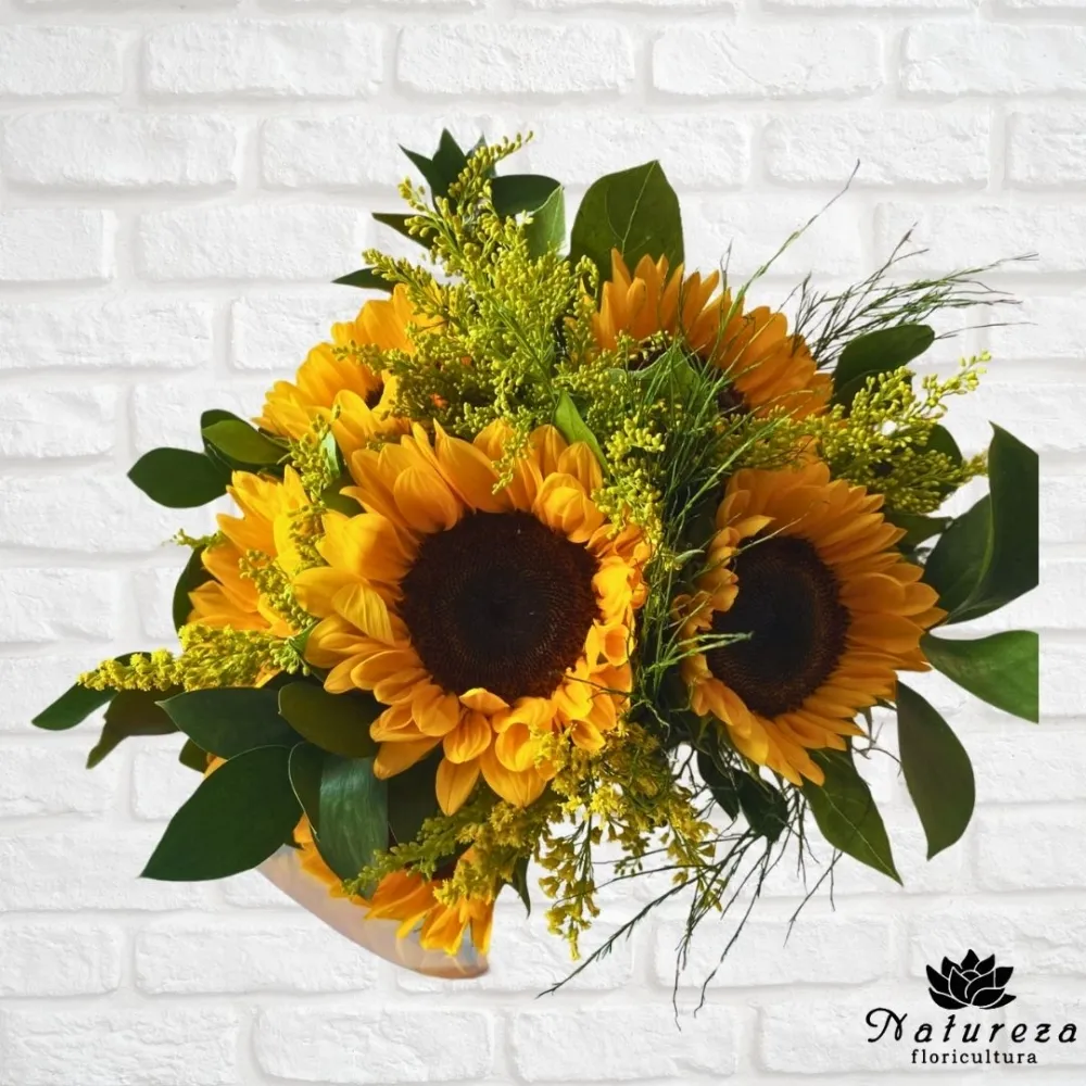 Buquê Raio de Sol  com 6 Girassóis 