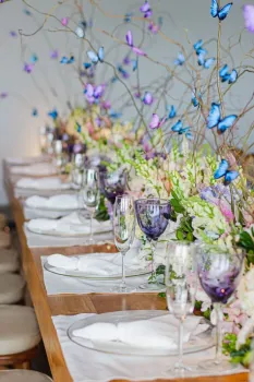 BORBOLETAS DE PAPEL FOTO 