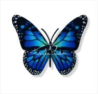 BORBOLETA QUE VOA (com motor) cabo curto - Foto 11