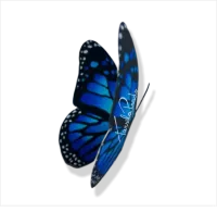 BORBOLETA QUE VOA (com motor) cabo curto - Foto 12