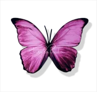 BORBOLETA QUE VOA (com motor) cabo curto - Foto 9