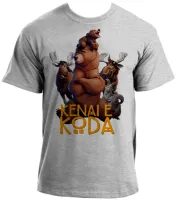 Baby look blusa feminina ou Camiseta Irmão urso desenho lindo - Foto 2