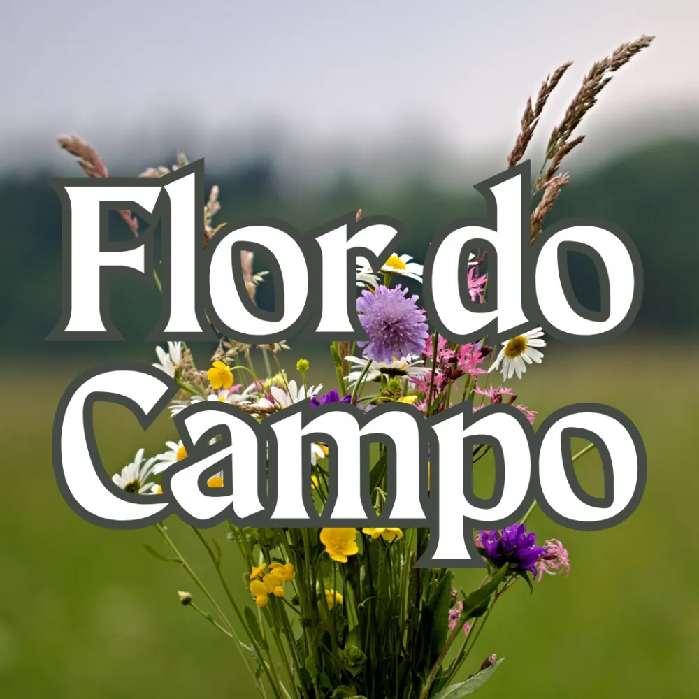 Flor do Campo Imagem
