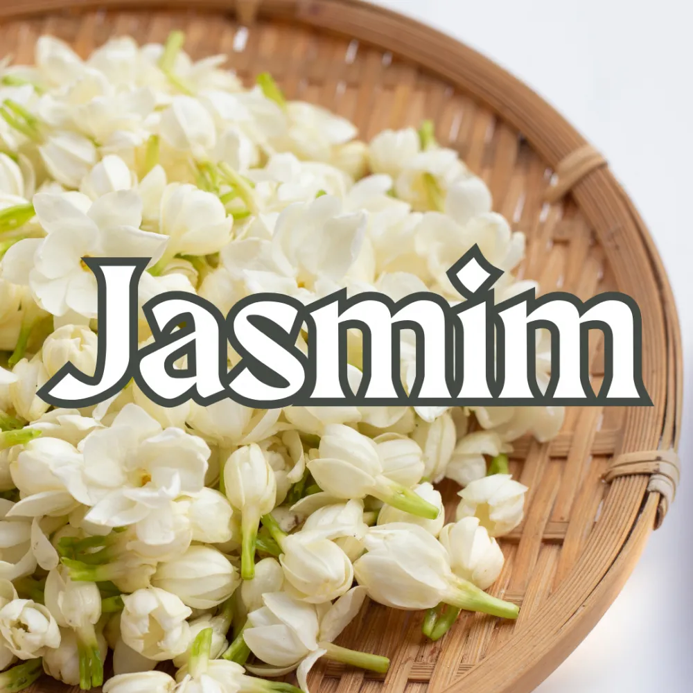 Jasmim